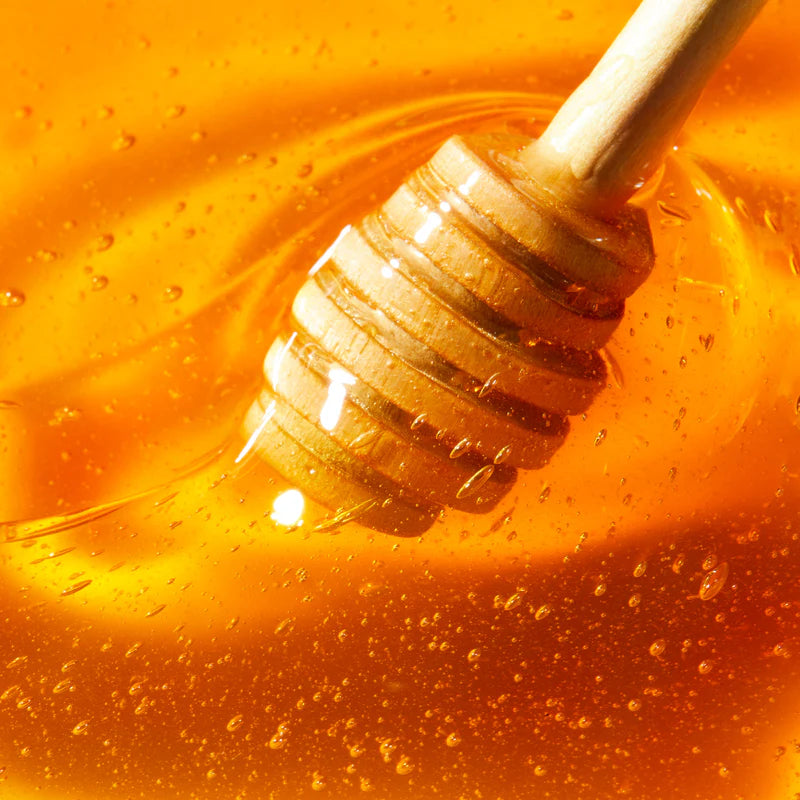 RÊVE DE MIEL - Crème Mains et Ongles 30ml + Stick Lèvres Hydratant 4g